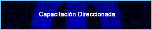 Capacitacion Direccionada