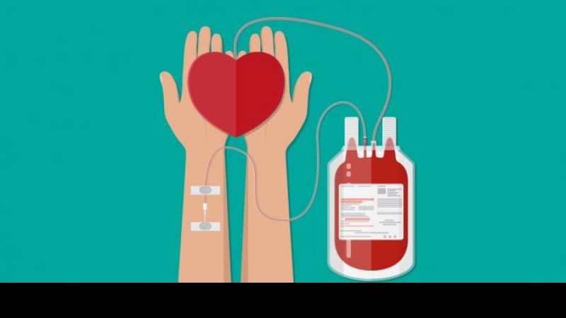 Día Nacional del Donante Voluntario: ¿Por qué se conmemora el 9 de noviembre en la Argentina?